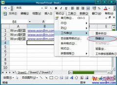 Excel 2003中如何利用宏vba来彻底隐藏某列